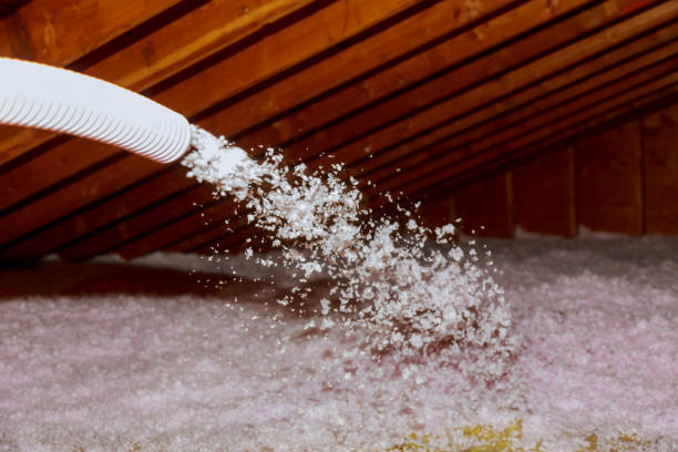 Best Fiberglass Insulation  in Shadyside, OH