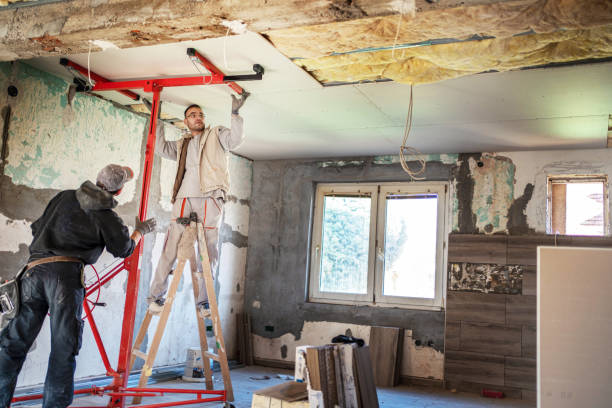 Best Cellulose Insulation  in Shadyside, OH