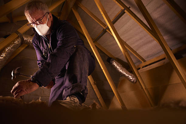 Best Blown-in Insulation  in Shadyside, OH